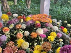 -杭州植物园