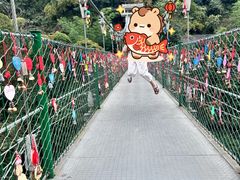-西双版纳原始森林公园