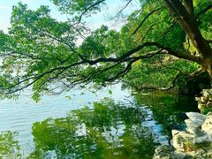 -东湖落雁景区