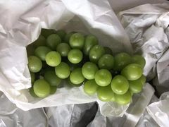 -马陆小张葡萄园农家乐