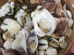 -船梆煮•蒸汽海鲜·炉火烤肉(五四广场店)