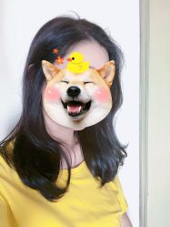 点击看大图 -镁连社·美联社
