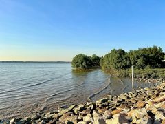 -宝安西湾红树林湿地公园