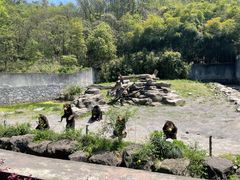 -宁波野生动物园