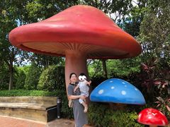 -美的鹭湖探索王国