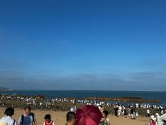 -小麦岛公园