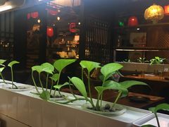 -望京一号·重庆江湖菜(工体店)