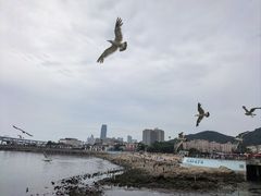 -黑石礁公园