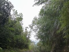 -青城山