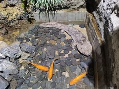 -杭州海底世界