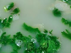 -北三沙家烧麦(北头道街店)