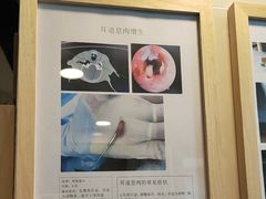 -半岛宠物医院24小时·内窥镜·牙科·碎石中心(府城大道店)