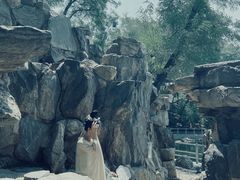 -莲湖公园
