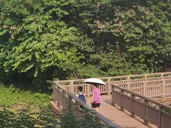 -广东花都湖国家湿地公园