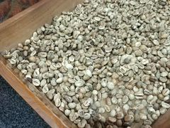 -巴厘岛黄金金兔咖啡工厂