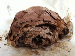 -OUR Bakery(三里屯太古里店)