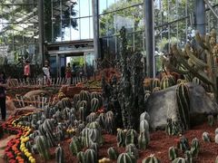 -南通洲际绿博园