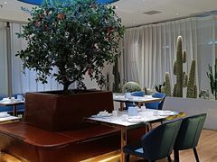 -悦海·家宴·冰花皮皮虾大锅贴(宝龙店)