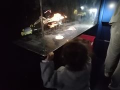 -同济大学四平路校区深海探索馆