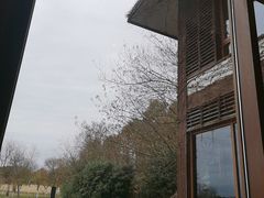 -东滩湿地公园观海楼餐厅