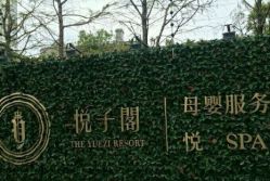 -悦子阁月子会所