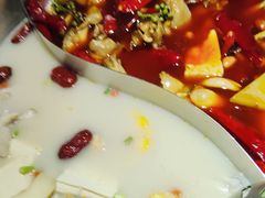-麻田会 ·鲜活现烹·牛蛙火锅(珠江新城维家思广场店)