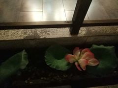 -秀水人家