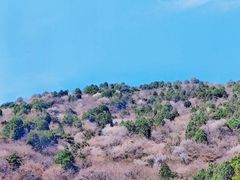 -北京西山国家森林公园