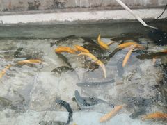 -北京龙庆四季香农家饭庄·灶台鱼·碳烤虹鳟鱼(龙庆峡店)