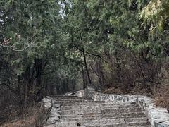 -香山公园