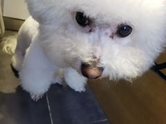 -陈多多·豆腐奶茶(前锋路店)