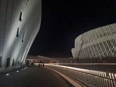-福州海峡文化艺术中心