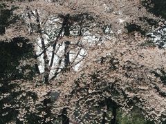 -杭州少年儿童公园