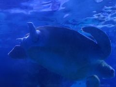 -左海海底世界