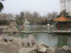 -西苑公园