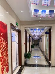 -碧莲盛·不剃发植发