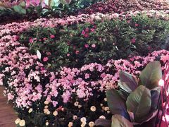 -龙环葡韵住宅式博物馆