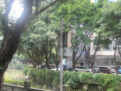 -探窝·竹笙椰子鸡(杨箕店)