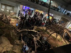 -自贡恐龙博物馆