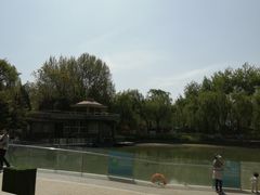 -黄村公园