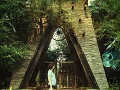 android_upload_pic-鲤鱼山公园