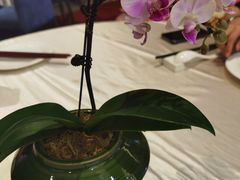 -聚福宝合苑食府(南头镇店)