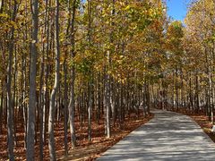 -羊亭河湿地公园