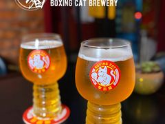 -Boxing Cat Brewery拳击猫精酿啤酒馆(思南公馆店)