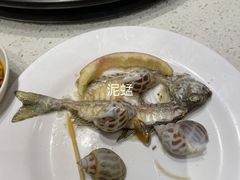 花螺-青蓬蒸汽海鲜·深圳老字号·团建聚会(壹方城店)