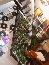 -杨益美学·野生眉半永久纹眉发际线