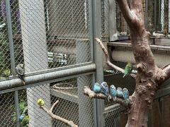 -正佳雨林生态植物园