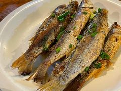 香煎马头鱼-和记菜馆