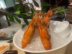 -淮扬府·游园京梦(北京SKP店)