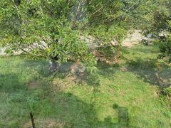 -深圳野生动物园